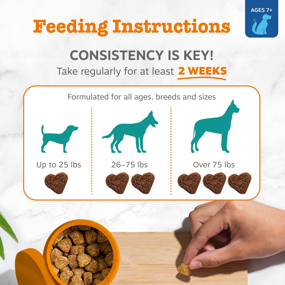 Zesty Paws Lion's Mane option supports cognitive function in dogs