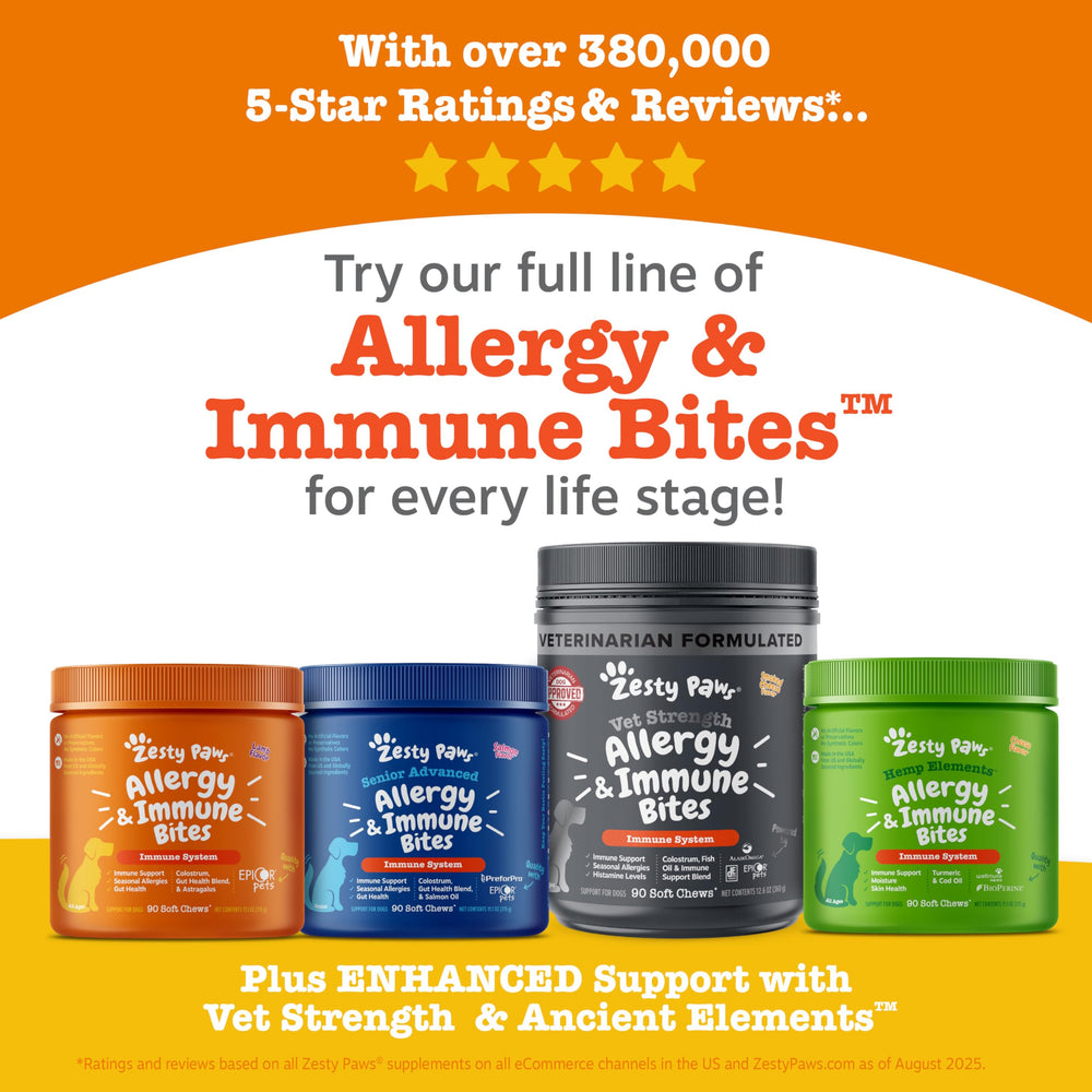 Senior dog allergy relief bottle from Zesty Paws signaling ongoing skin and immune support.