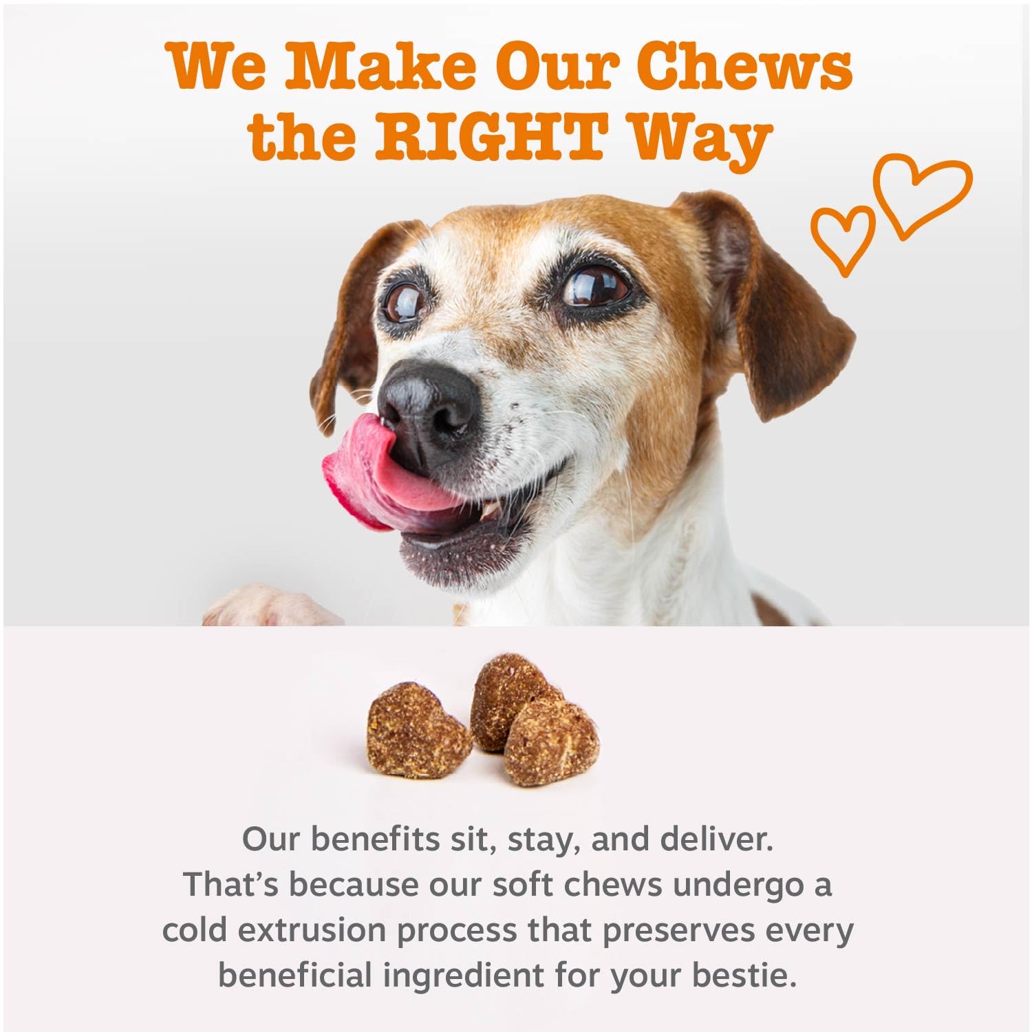 Zesty Paws immune support packaging highlighting immune-boosting ingredients