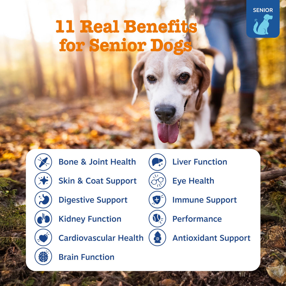 Zesty Paws senior multivitamin joint care close-up promotes comfortable movement