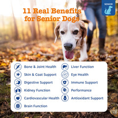 Zesty Paws senior multivitamin joint care close-up promotes comfortable movement