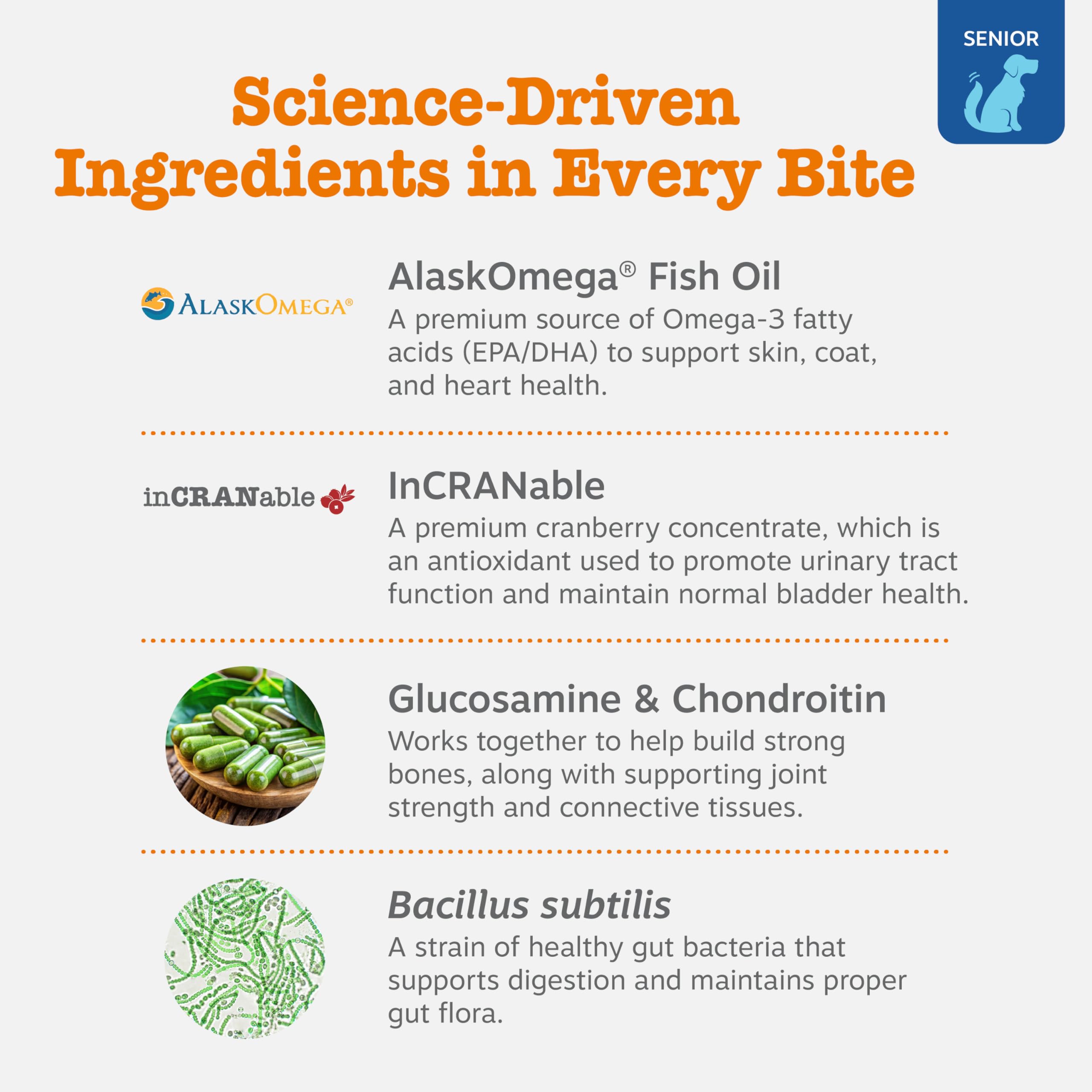 Digestive enzymes and probiotics support gut health in aging dogs.