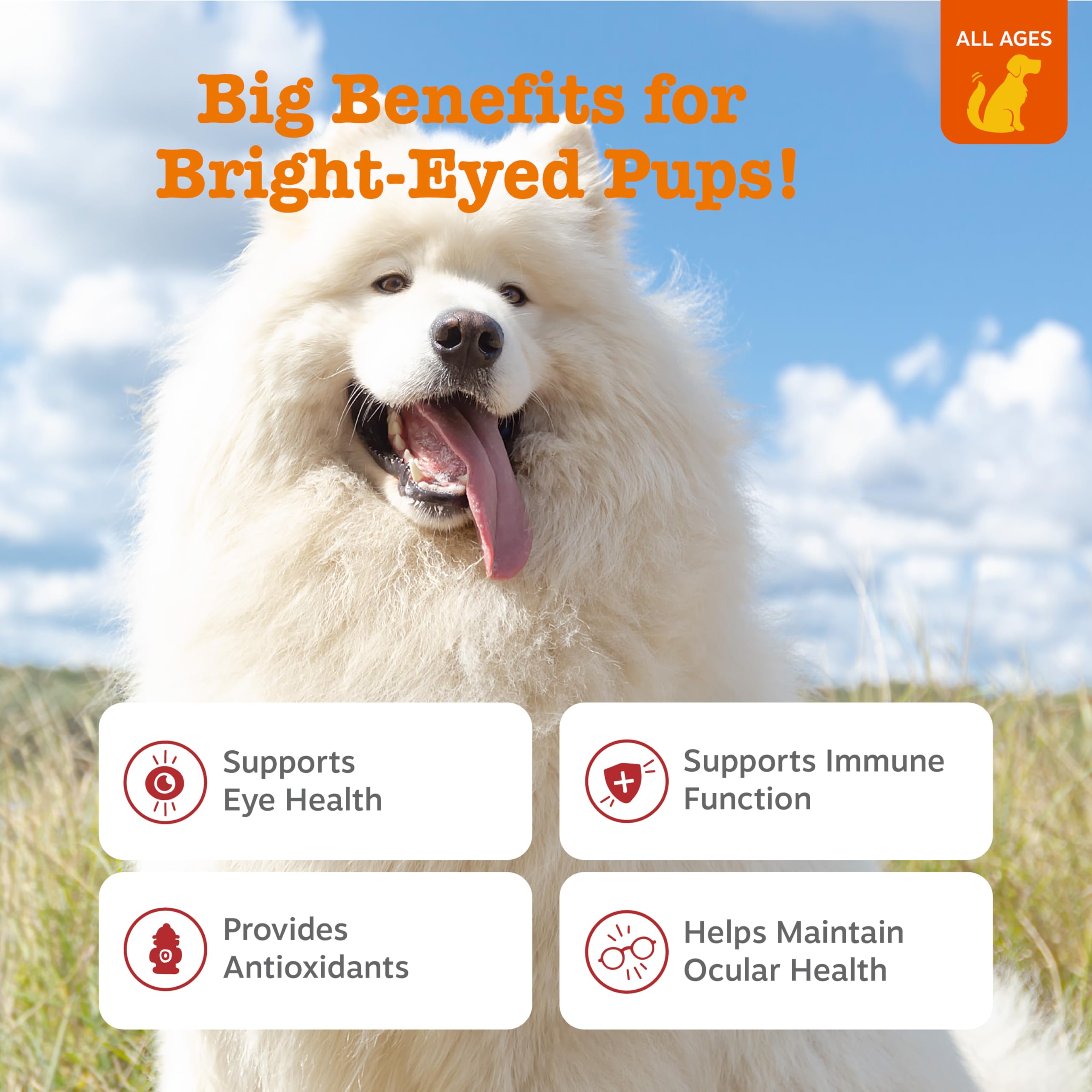 Ingredient panel highlighting fish oil and lutein for eye health in Zesty Paws Tear Stain chews