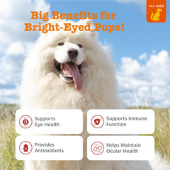 Ingredient panel highlighting fish oil and lutein for eye health in Zesty Paws Tear Stain chews
