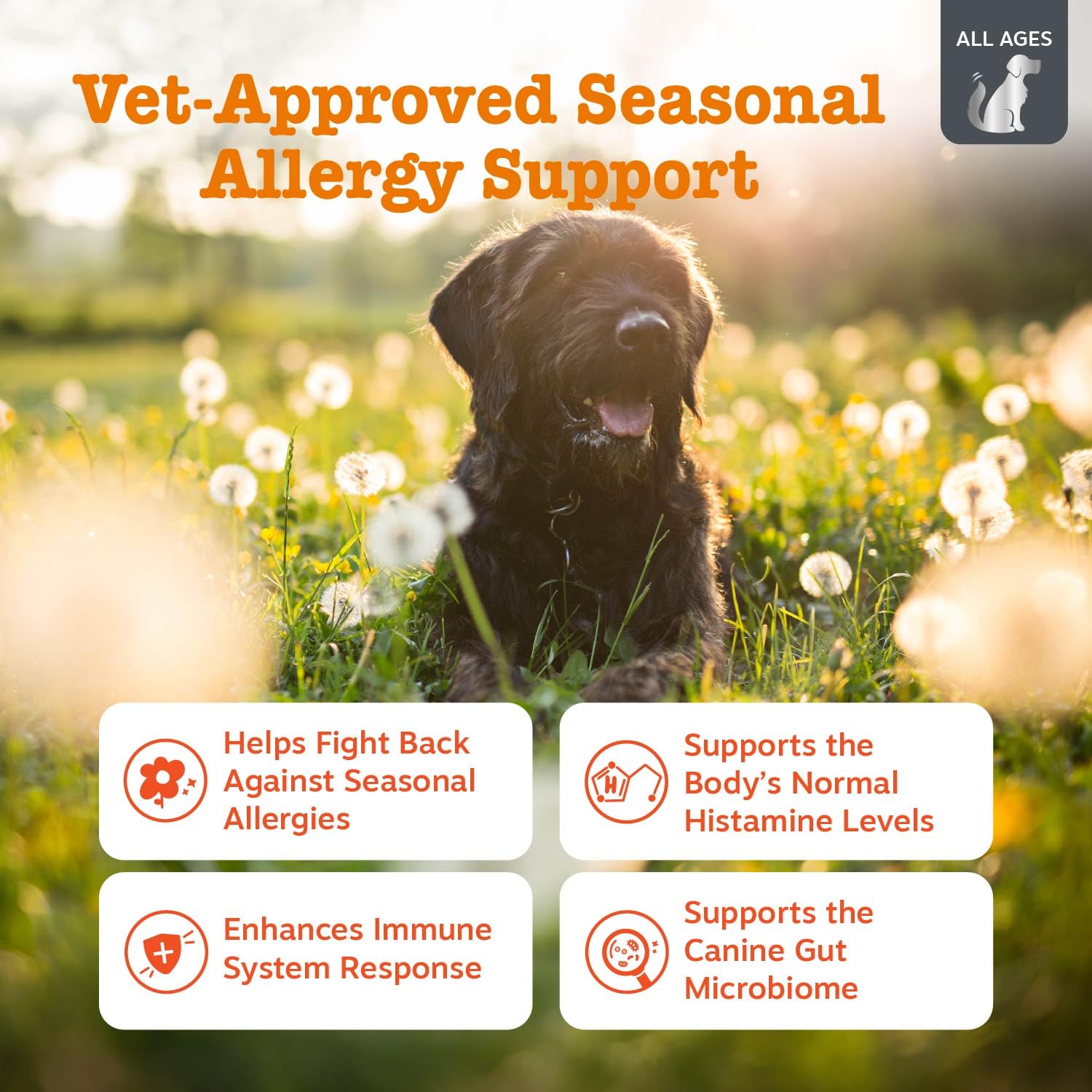 Zesty Paws Vet Strength allergy chews label highlighting dog-friendly formula.