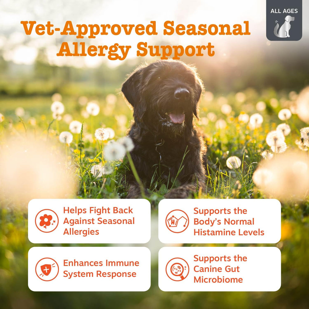 Zesty Paws Vet Strength allergy chews label highlighting dog-friendly formula.