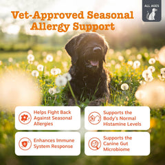 Zesty Paws Vet Strength allergy chews label highlighting dog-friendly formula.