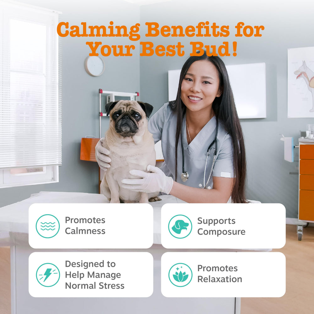 Open package of Zesty Paws Vet Strength calming chews showing soft texture.