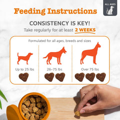 Zesty Paws Vet Strength dog eating chews in bowl for easy daily use.