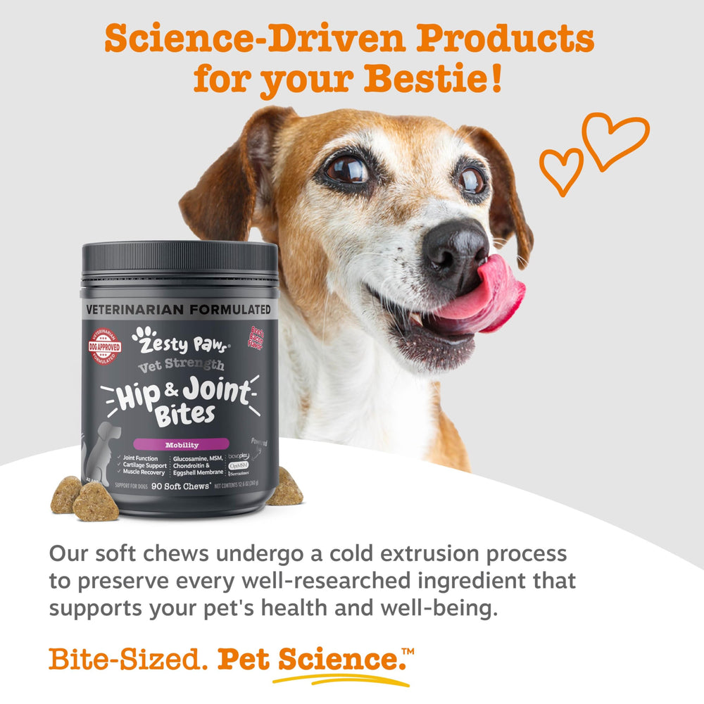 Zesty Paws Mobility Bites with Serrazimes protease blend for daily activity support.