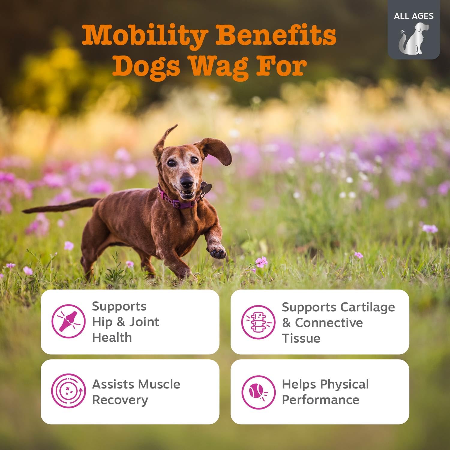 Zesty Paws Vet Strength Mobility Bites close-up shows soft chews texture for easy feeding.