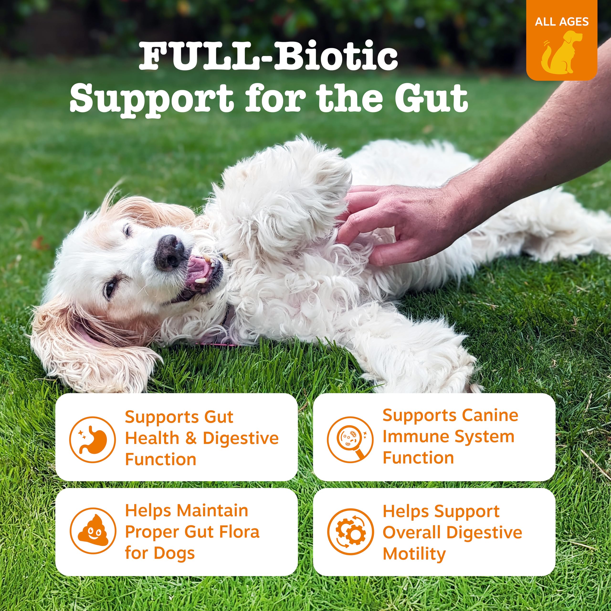 Zesty Paws Vet Strength Probiotics chews closeup showing dog-friendly texture