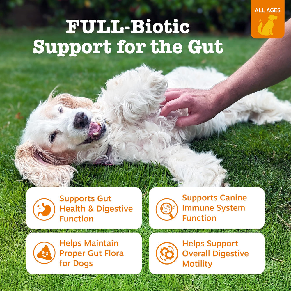 Zesty Paws Vet Strength Probiotics chews closeup showing dog-friendly texture