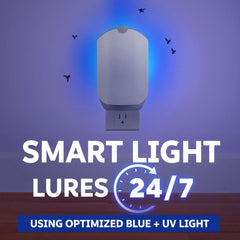 ZEVO blue-UV light lure attracting gnats and fruit flies for easy capture.