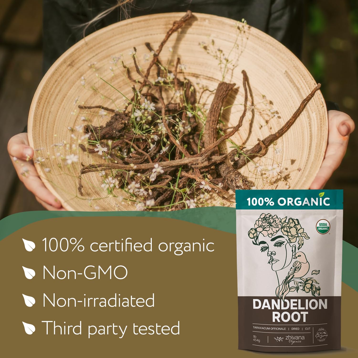 Zhivana Organics dandelion roots harvest scene illustrating sustainable sourcing