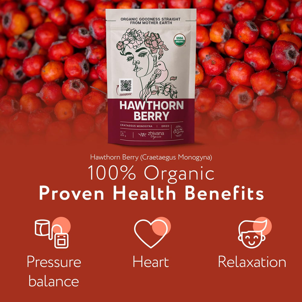 Zhivana Organics Hawthorn berries drying in a controlled environment.