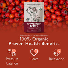 Zhivana Organics Hawthorn berries drying in a controlled environment.