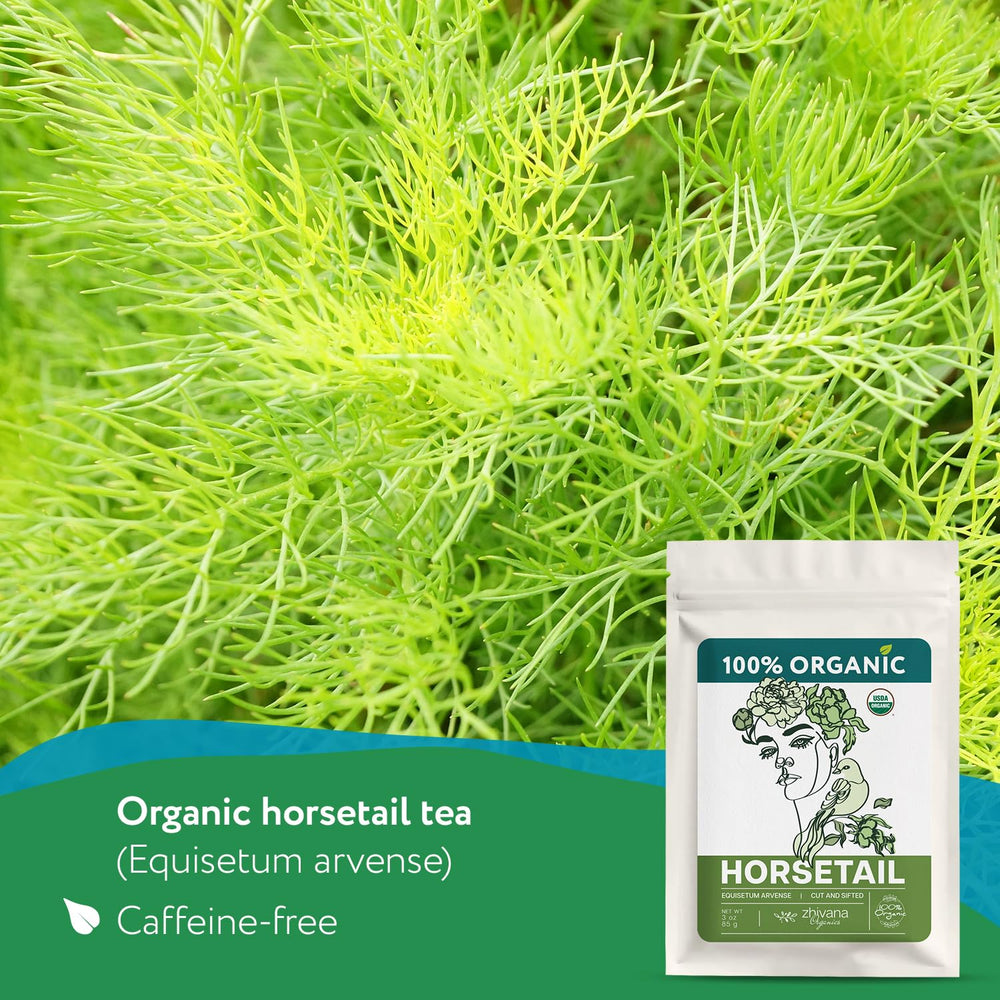Zhivana Organics Horsetail Tea dried herb cut ready for tea preparation.