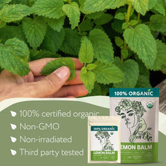 Zhivana Organics lemon balm tea steeping cup evokes relaxing evenings.