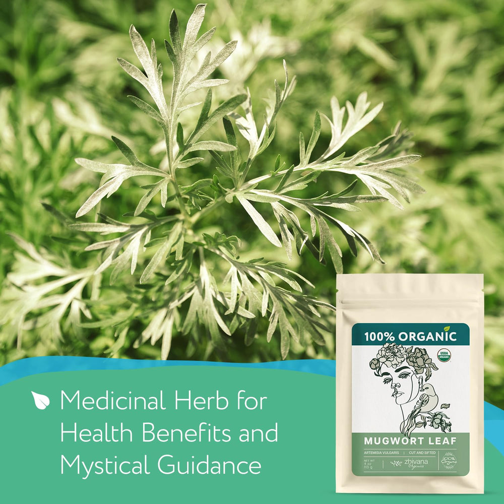 Zhivana Organics Mugwort Tea dried leaves for soothing aroma to unwind after meals.