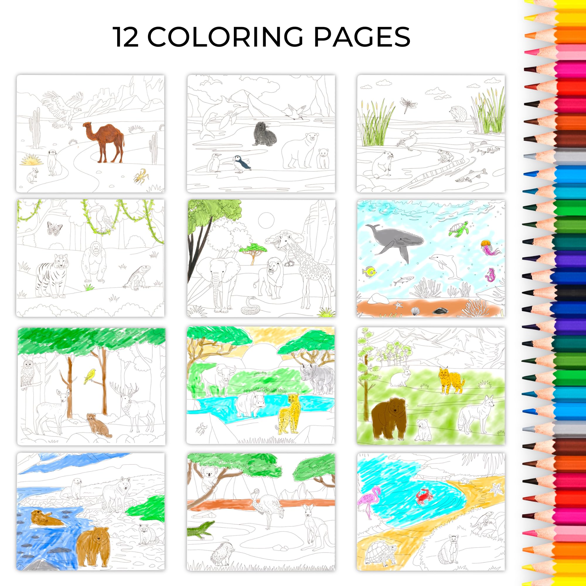 ZICOTO travel-friendly activity book keeps kids engaged on car journeys.
