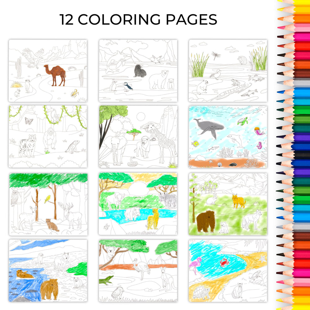 ZICOTO travel-friendly activity book keeps kids engaged on car journeys.