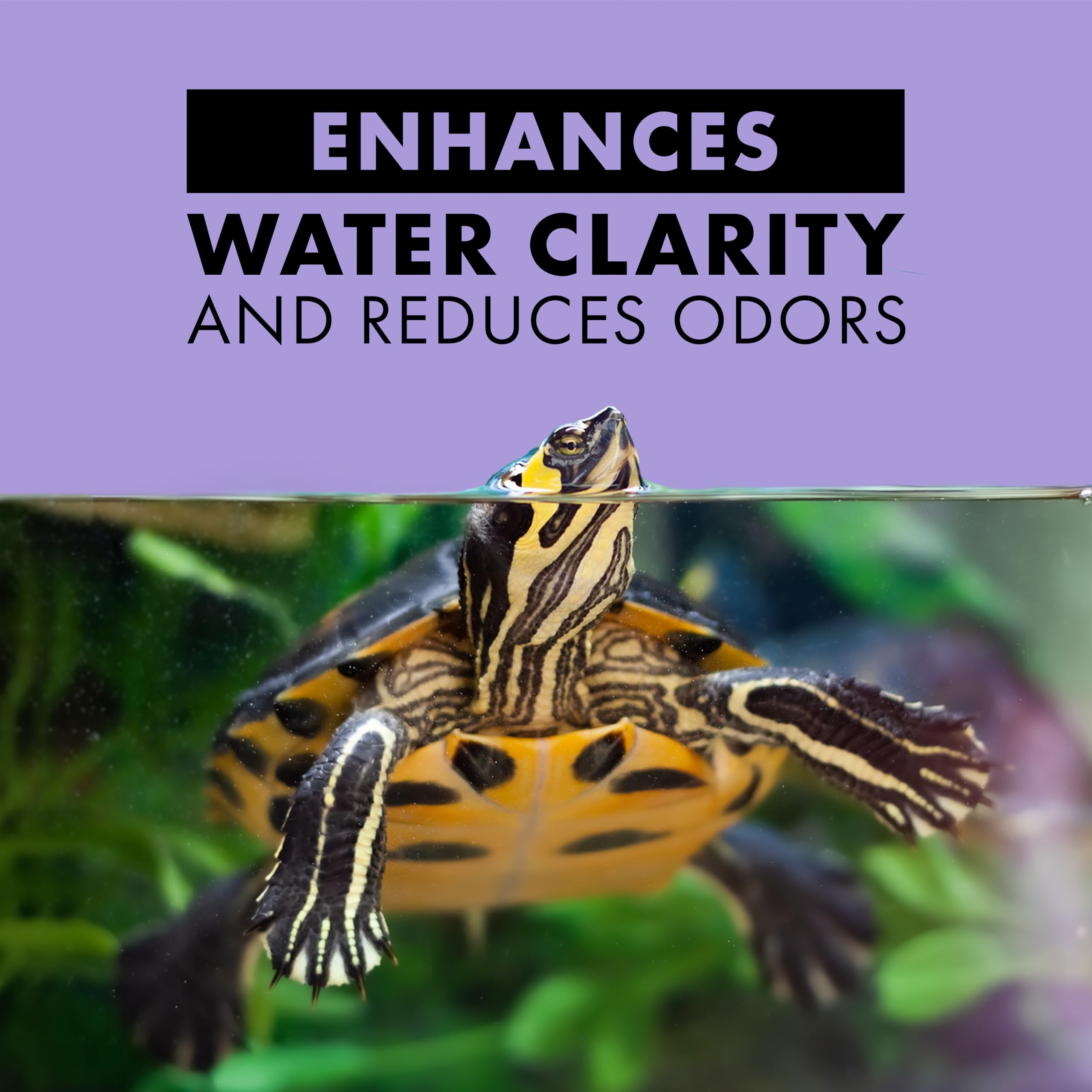 Zilla Turtle Sticks float and expand in water without breaking apart