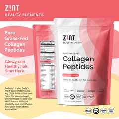 Zint Collagen Peptides scoop in hand shows convenient daily dose.