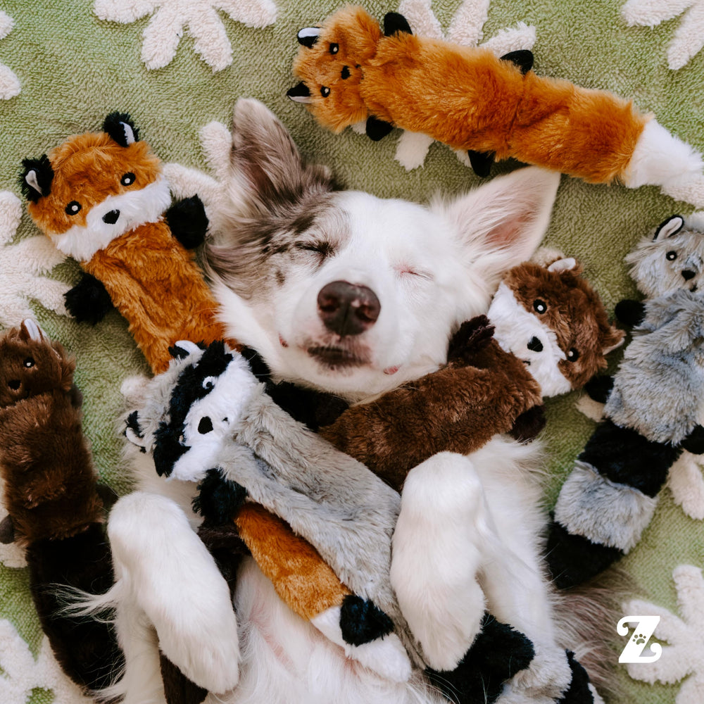 ZippyPaws Skinny Peltz Ensemble Trio Animaux : variété ludique pour jeux de tirage.