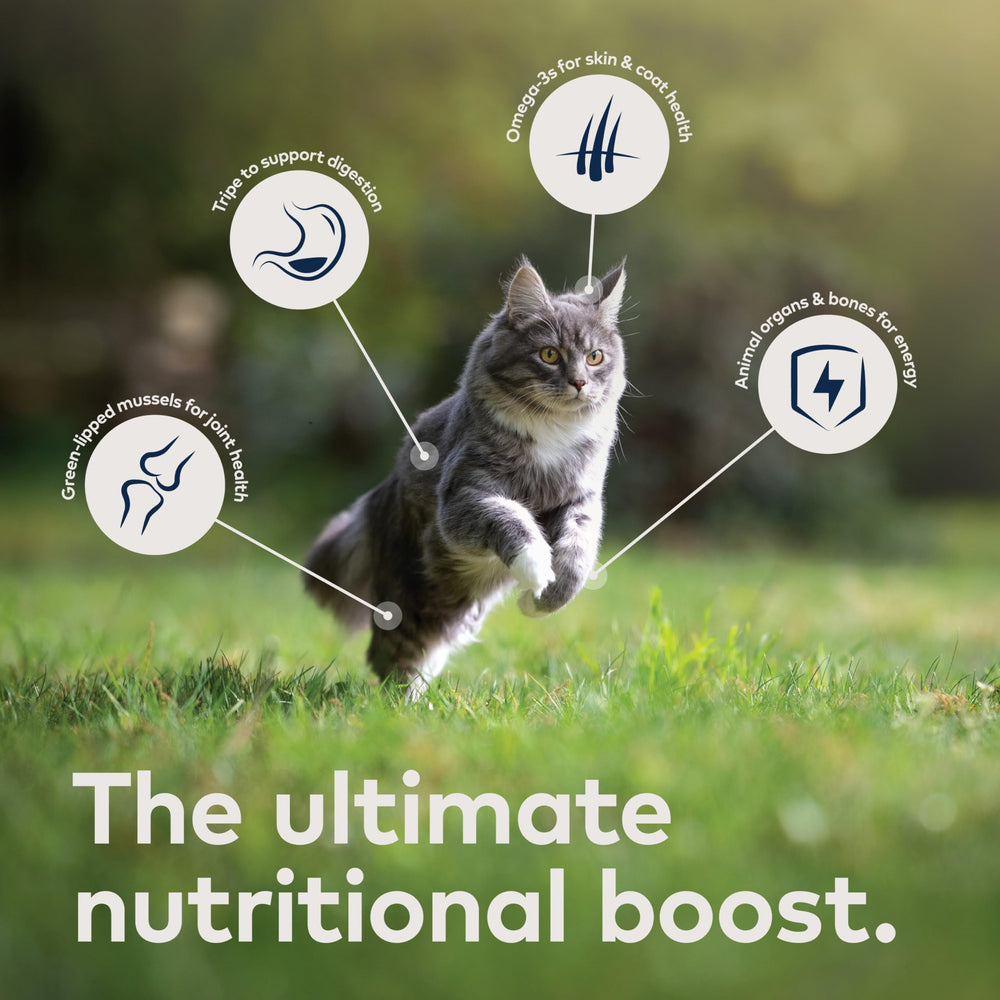 ZIWI Chicken Recipe free-range chicken image signals ethical sourcing