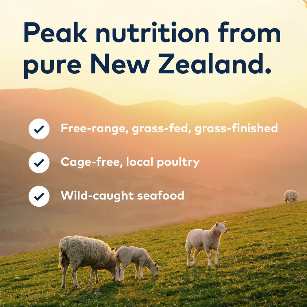 ZIWI Chicken Recipe topper serving shows easy meal enhancement