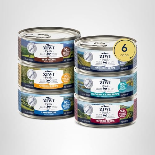 ZIWI Peak wet cat food variety pack served bowl invites a tempting dining moment.