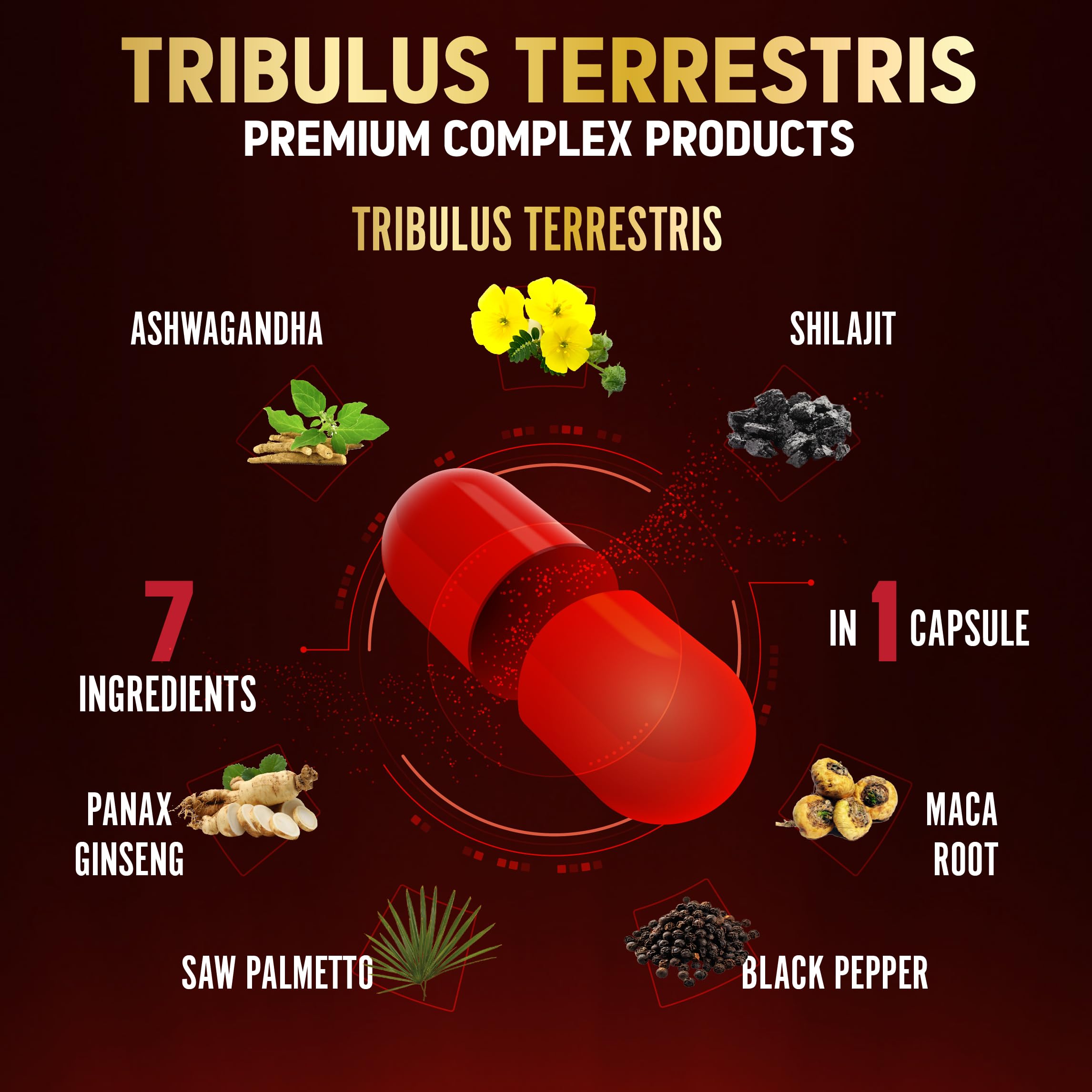 Zolotus Black Pepper enhances absorption for better nutrient uptake.