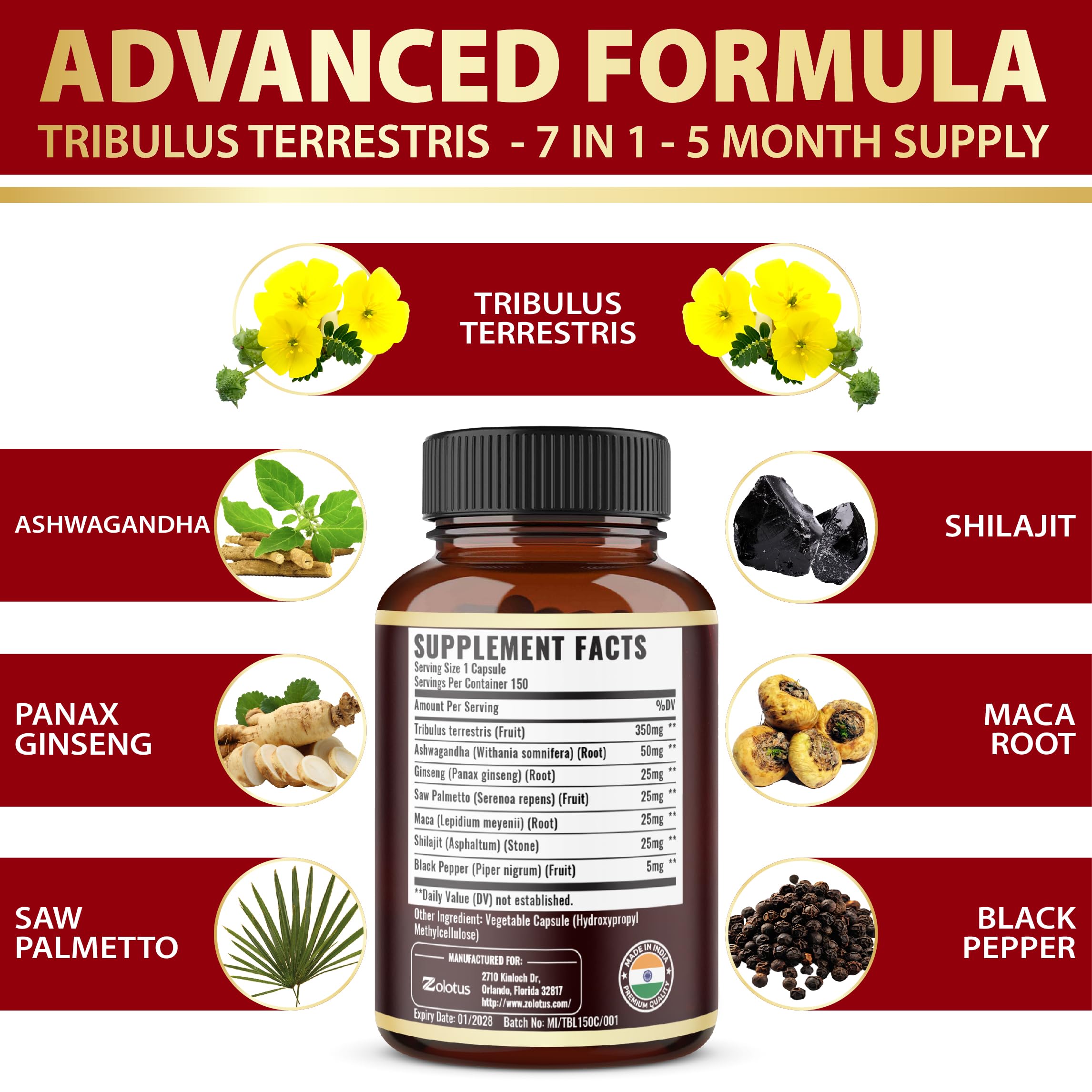 Zolotus label detail highlighting cGMP quality