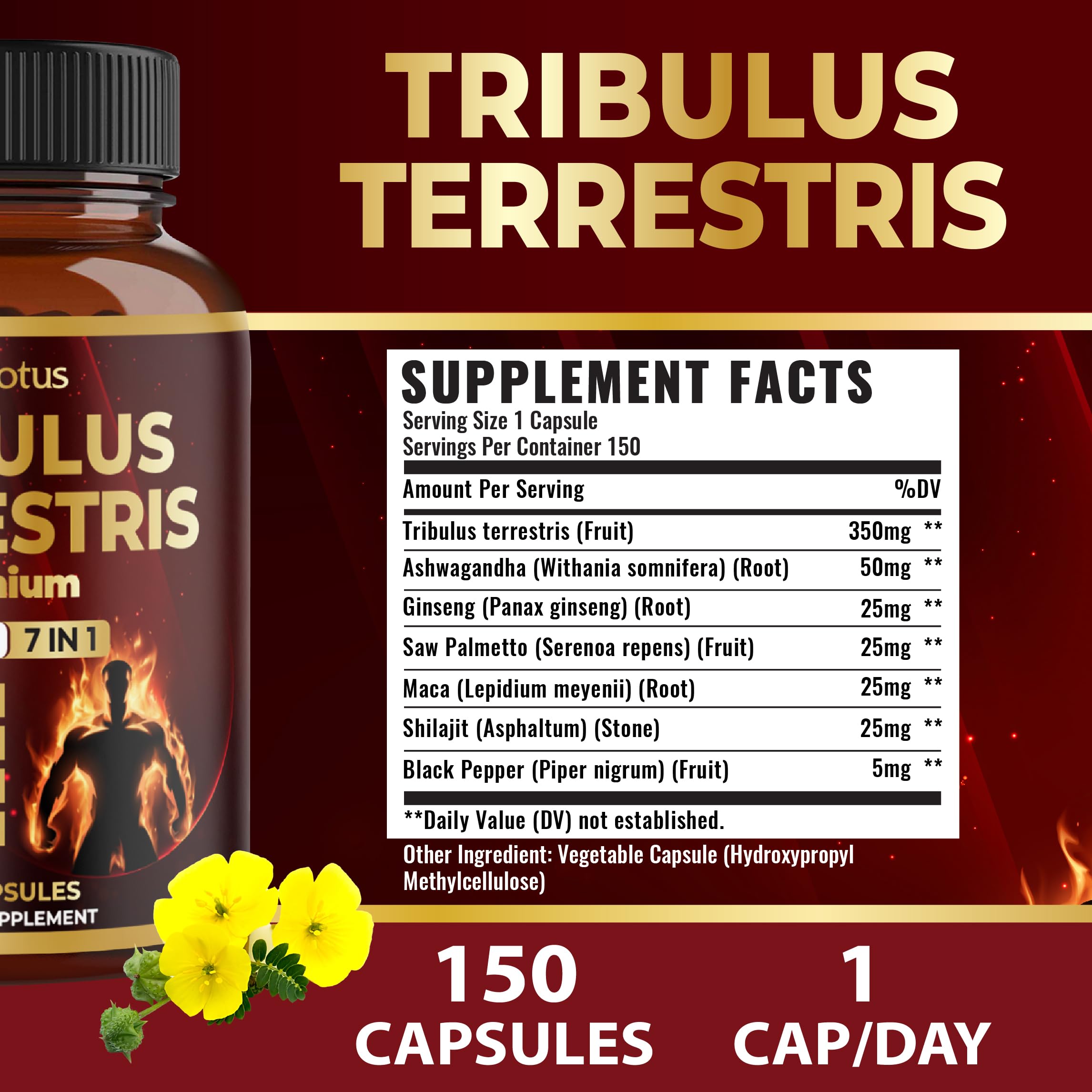 Zolotus ingredients panel featuring Maca Shilajit and Saw Palmetto