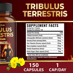 Zolotus ingredients panel featuring Maca Shilajit and Saw Palmetto