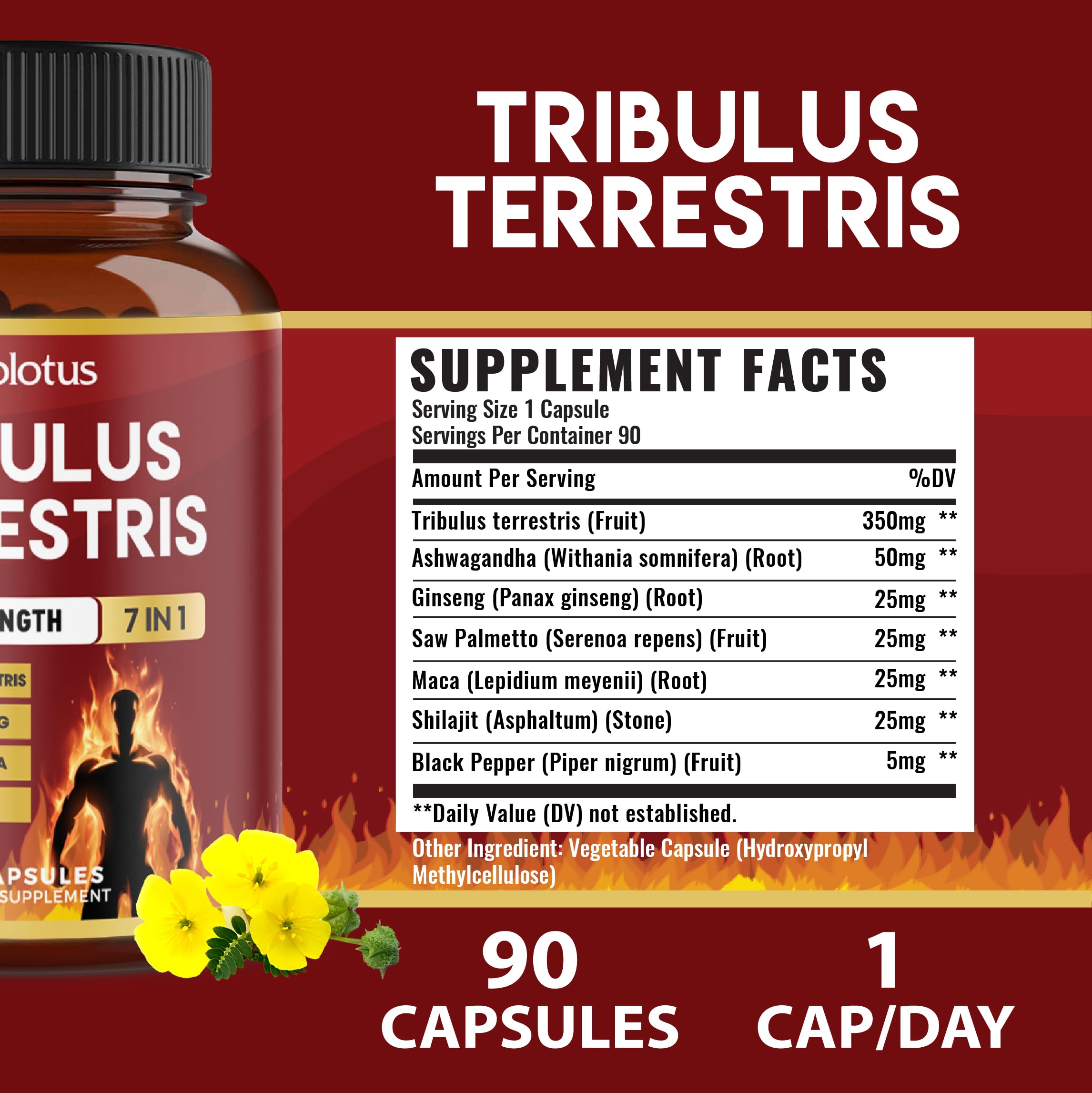 Zolotus Saw Palmetto Maca image highlights daily vitality.