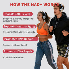 Zoone NAD Resveratrol ingredients graphic shows Nicotinamide Riboside, Resveratrol, PQQ synergy.