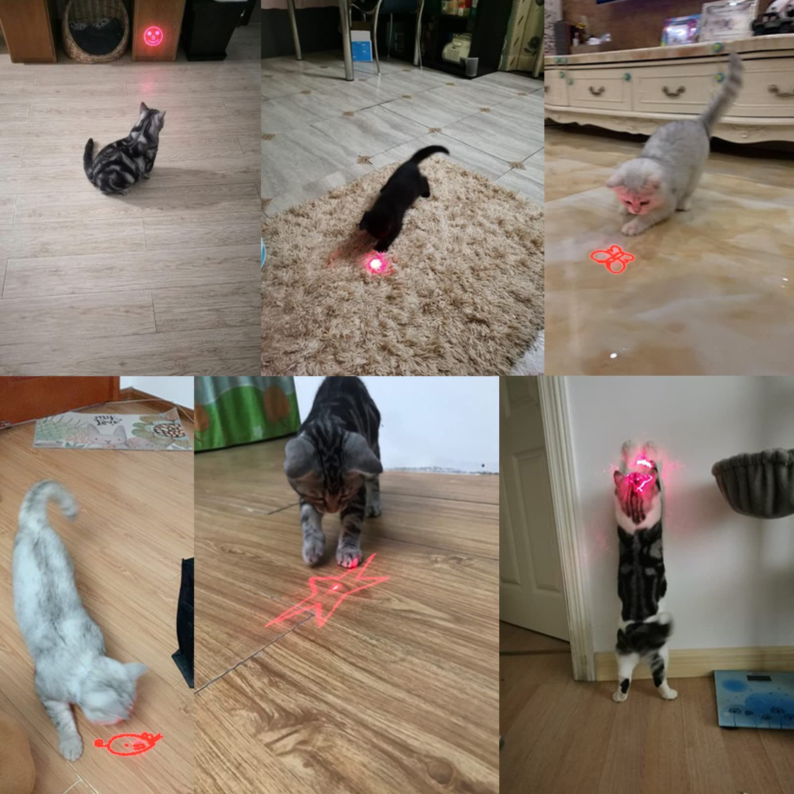 Zugesify laser pointer cat toy outdoor play for supervised exploration.