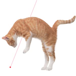 Zugesify laser pointer cat toy white mode to guide cats through different patterns.