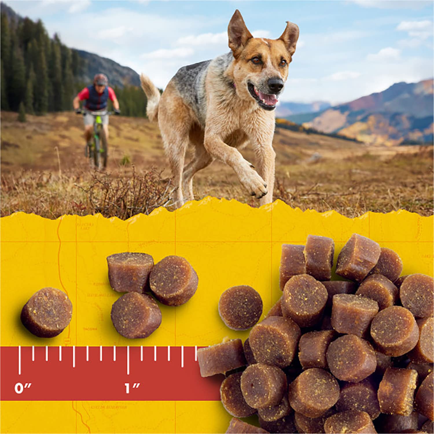 Suitable for dogs of all breeds and sizes