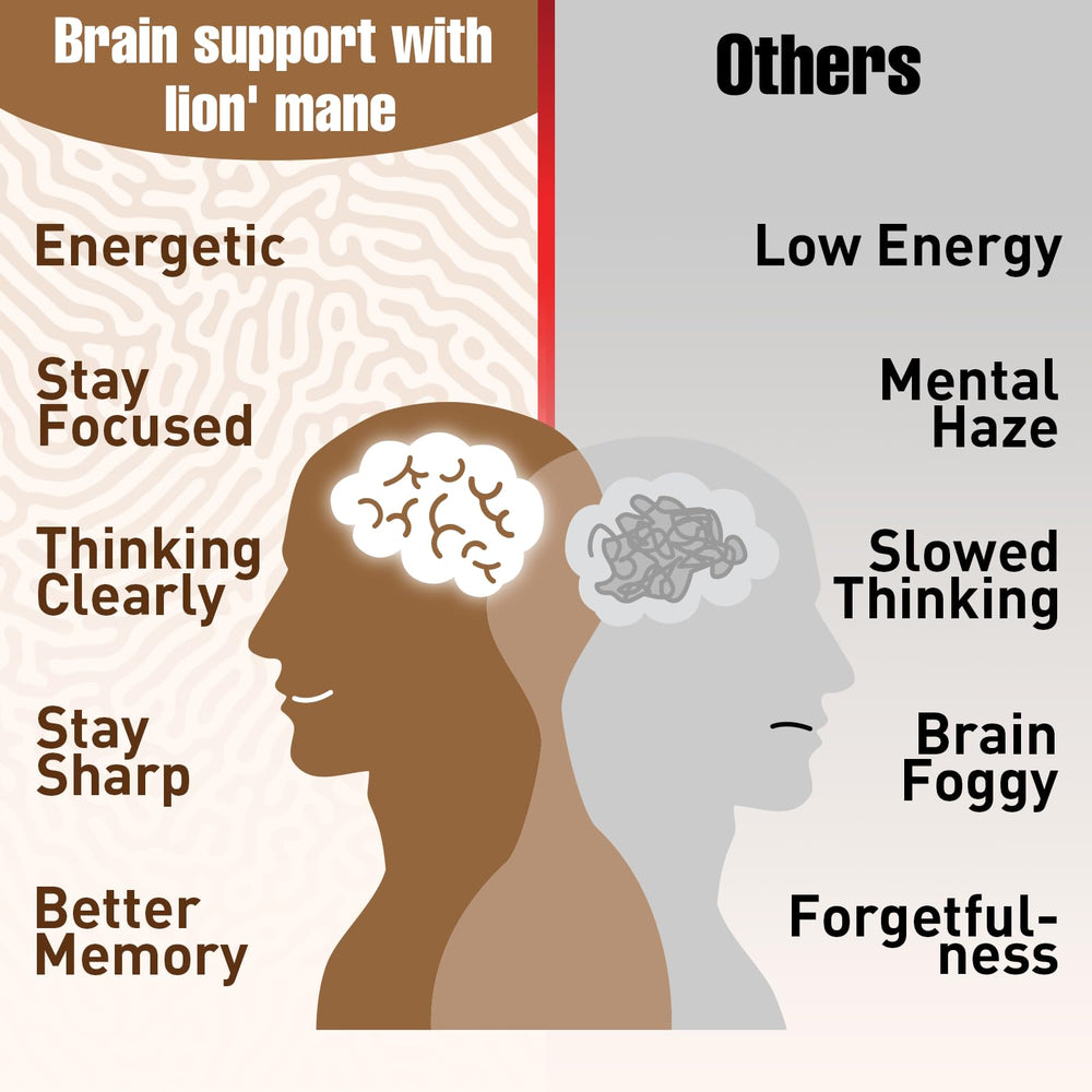 Zylvrax ingredient blend banner highlighting brain-boosting ingredients.