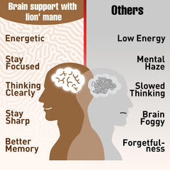 Zylvrax ingredient blend banner highlighting brain-boosting ingredients.